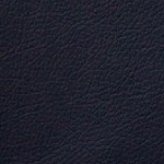 Domus navy
